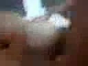 ass