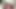 Lonley boy masturbate his dick in bedroom