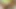 Cute Teen Slut in Lime green Dress Moans While Fucking