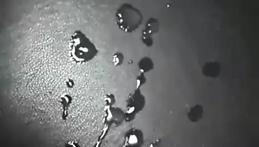 Spriccelesem :)