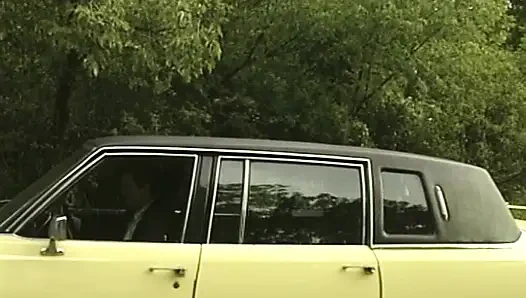 Привлекательные немецкие шлюшки трахаются в горячем сексе вчетвером