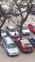 suboticanka se zeza