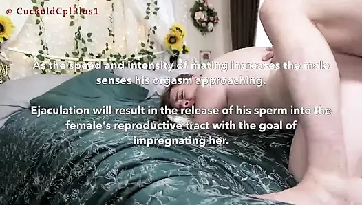 Cuckold Breeding Documentary. the Cuckold Listens Outside the Door