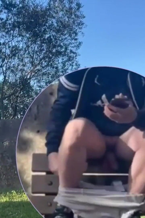 Amateur Boy Lost a Bet and Had to Expose and Touch His Cock in a Park