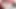 Sensual t-girl cuming hard with two dildos inside with sperm fountaine