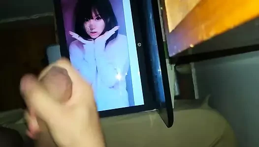 Ariasaki döl haraç 2
