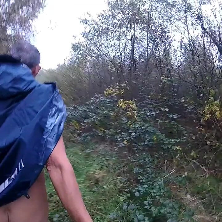 Wet Day in the Woods