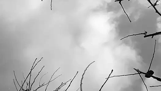 Pinkeln in der natur