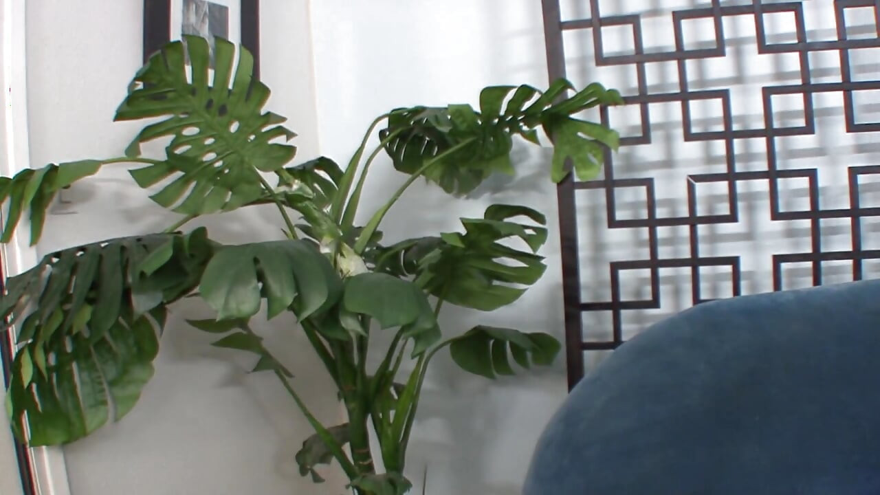 Pertemuan lesbian - mereka yang menyentuh mendalam