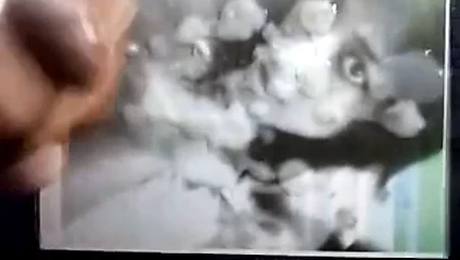 analauraosio cam2 haraç