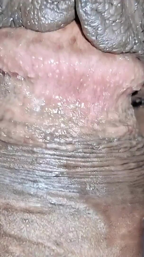 desi indian stepbrother and stepsister hot sex in night | Clip 2