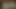 Büyük kahverengi etli Brezilya kedi dudakları