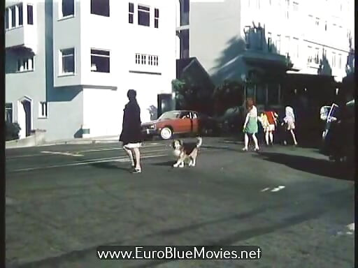 สามเฉดเนื้อของเนื้อ