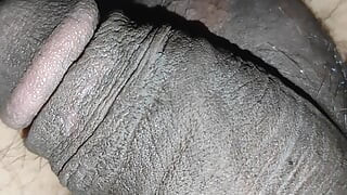 Desi bulla