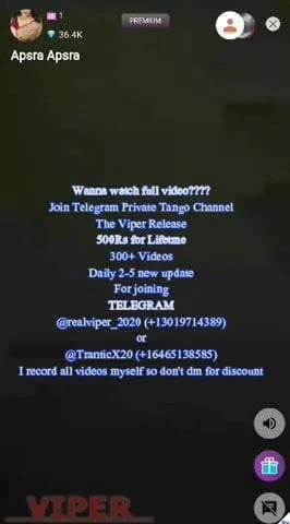 Indian Desi Hot Tango Private 04