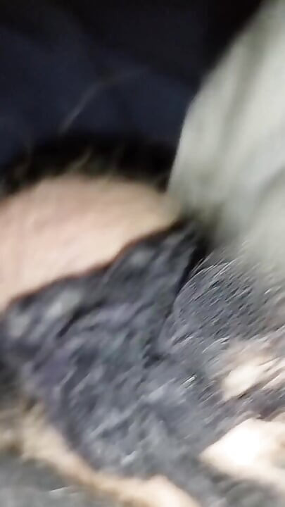 Masturbation with Panties