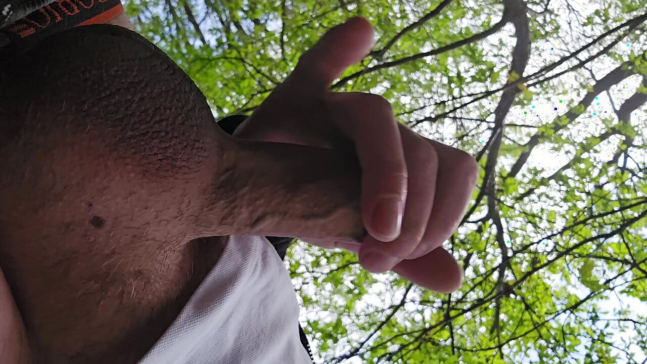 Lunch break in the nature