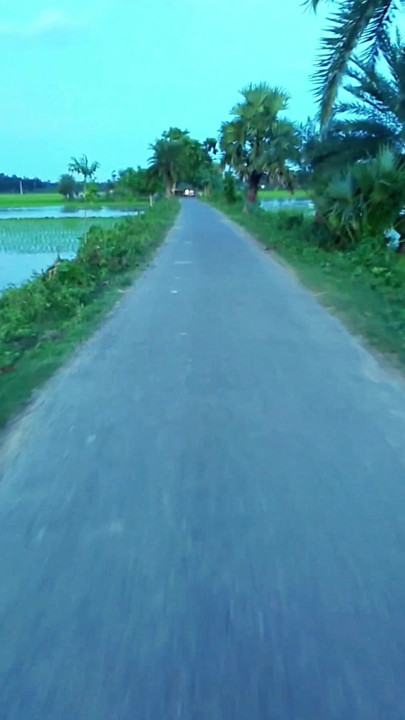 Nice scenery
