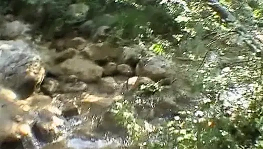 Rothaariges schätzchen aus französisch ir anal im wald penetriert