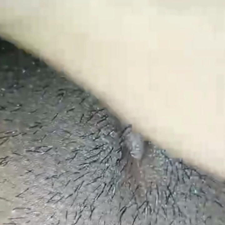 私のアソコを見て......みなさん、これが初めての短い動画です。どうか応援してください...もっと美味しいクソ動画で楽しませてやるよ。