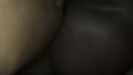 Büyük siyah horoz için abanoz alt