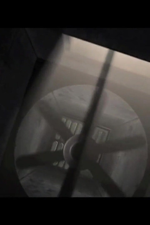 คนข้ามเพศสนุกกับความสุขของชีวิต (ภาพยนตร์)