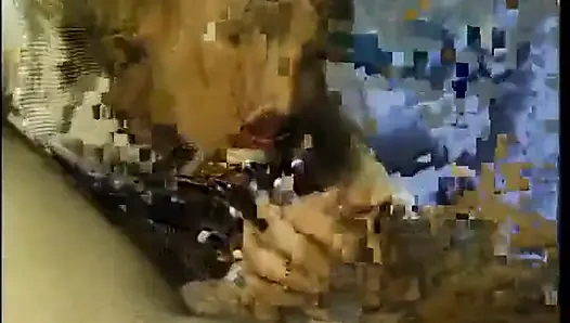 Hengst isst ihre muschi und fickt ihre fotze