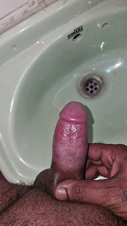 Indian cock