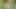 Publicly masturbating in the park until I squirt!