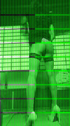 Pregled videozapisa