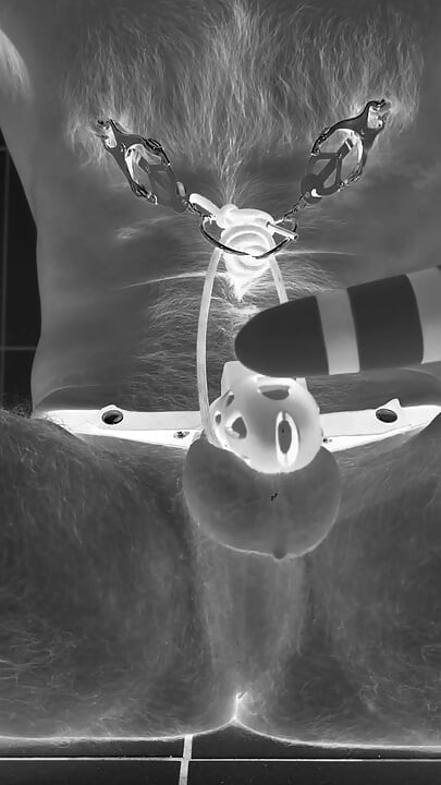 Multiple ruined orgasms in chastity cage with 30cm long penis plug