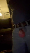 Video pregled