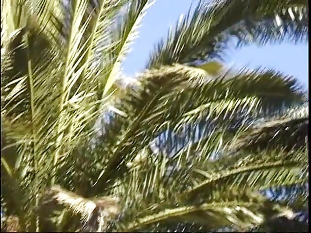 Horny slut takes fake dick in her tight twat and gets pussy licked