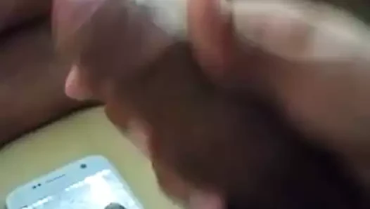 haraç için arkadaşlar istek tosahim kıllı KEDİ