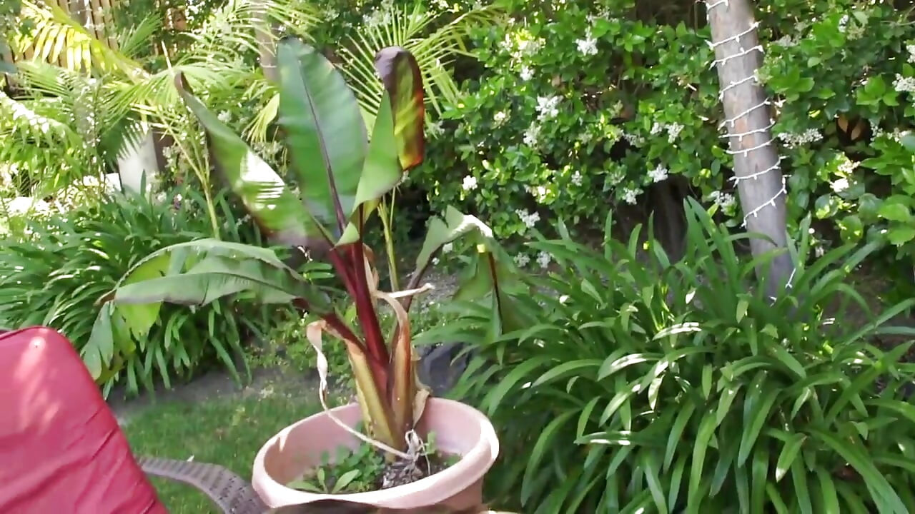 Stunning oiled milf banged by mature cock