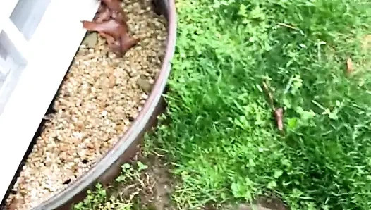 Beim masturbieren vom bf erwischt