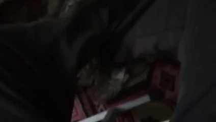 3126 porn video – 3126