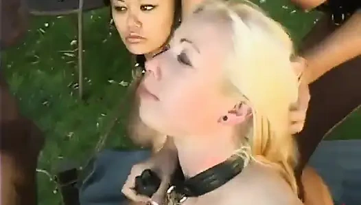 Adrianna Nicole, Annie Cruz, Sandra Romain, Kat, Lee Stone und Mark Davis