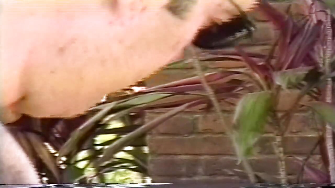 Transsexuelle, throbs