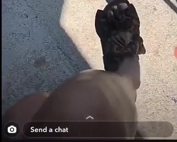 Latesha nicholson feet