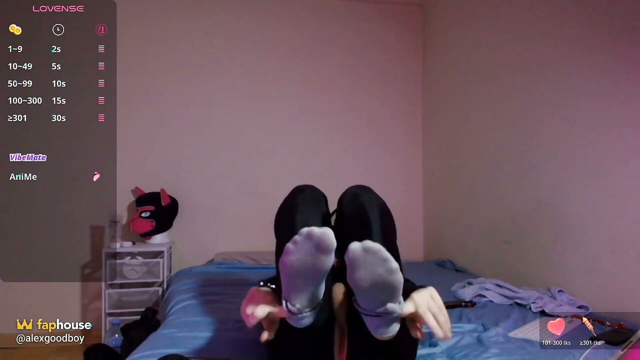 Puppy Keeps Teasing You with His Socks and Bare Paws