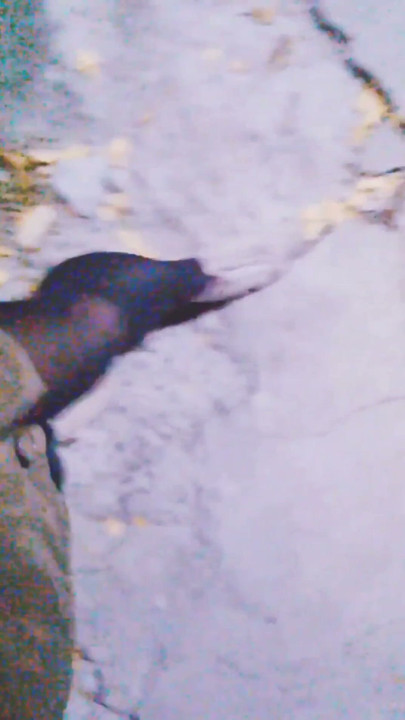 Hot naughty college girl with a vibrator inside take off her skirt on the street and smoke with her anus in the public park. | Clip 2