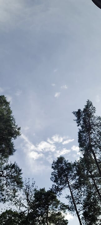 Obrezan