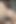 Yakın çekim titreşimli oral döllenme, döl gösterme ve sonra her damlayı yutmak için emiyor!