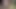 アジアン・エンジェル 27933