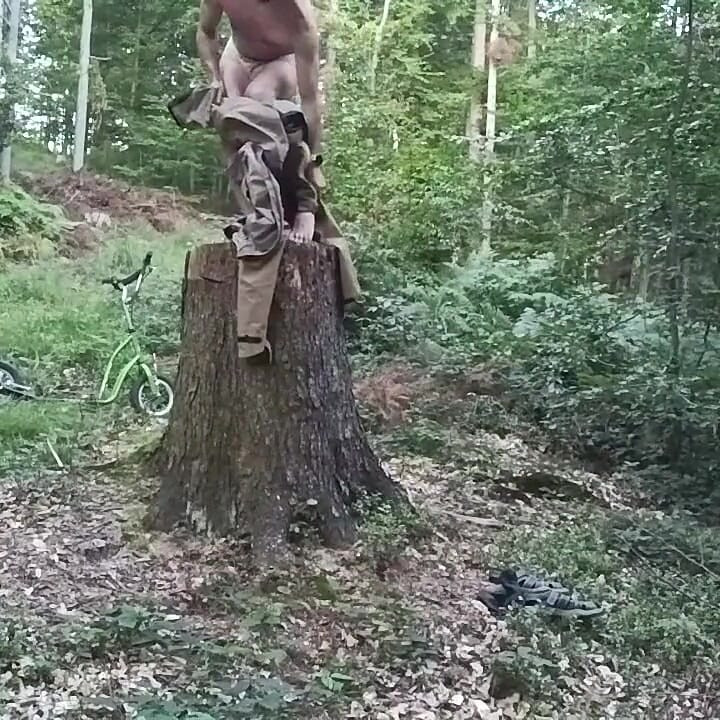Polowanie na pniu, część pierwsza