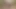 Amateur straight uncut guy heads to the woods for a cumshot