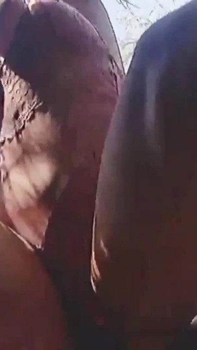Step brother fucking his stepsister in the forest, Beautiful stepsister getting fucked outdoors | Clip 1