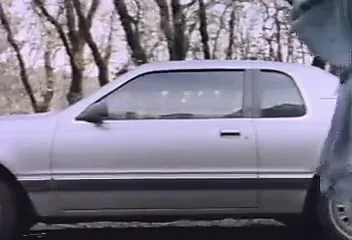 Ginger Lynn - Pleasure Hunt 2(movie)