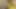 Public Masturbation on a Train